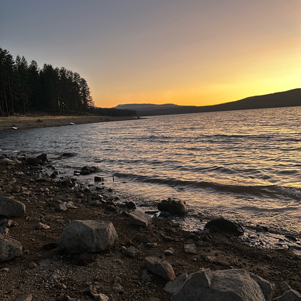 Meet your Posher, Liliana